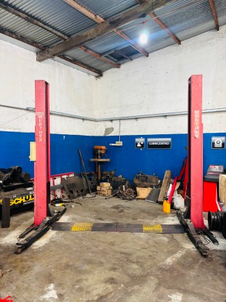 Lote #005 - Elevador de 2 torres ¨WERTHER¨ Italy, capacidad de 4 toneladas
