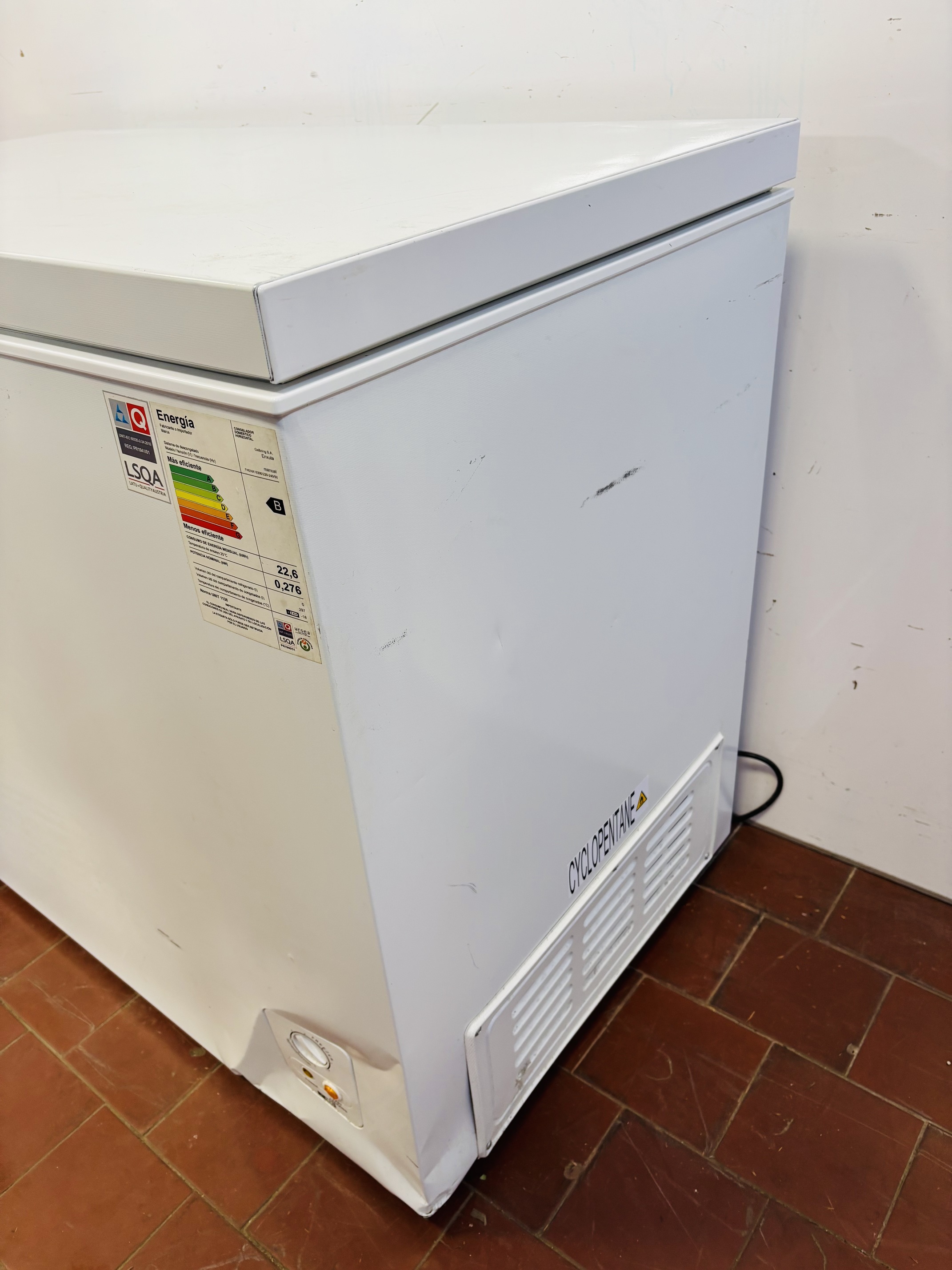 Lote #110R - Freezer horizontal ¨ENXUTA¨ - 297 Lts - Imagen 2