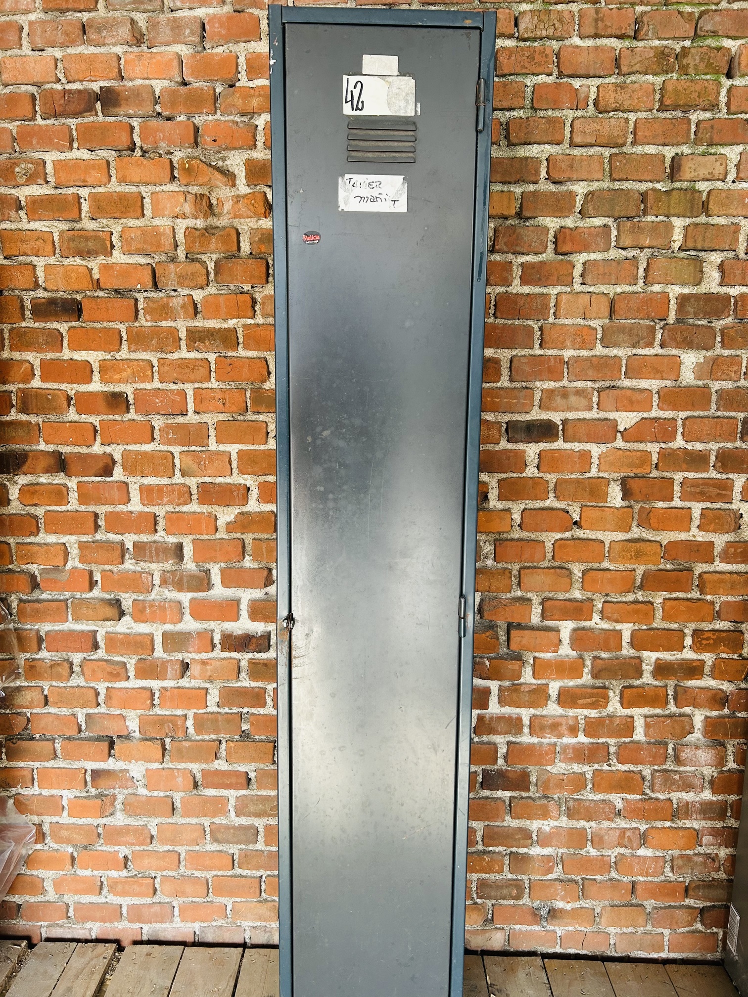 Lote #037 - Locker de chapa con una puerta - 32x46x190cm