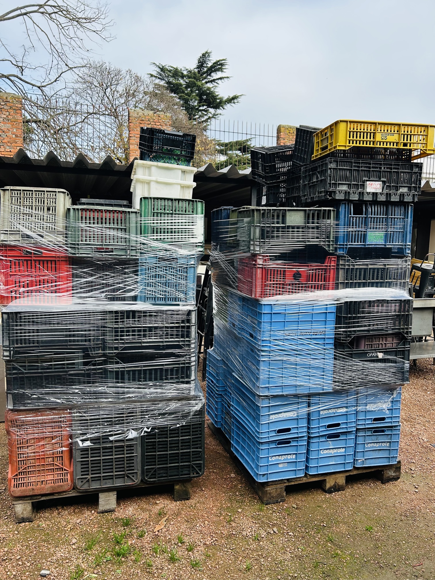 Lote #071 - 134 Cajones plásticos de diferentes medidas