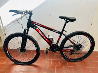 Lote #116 - Bicicleta Expert Renegade rodado 26 (rueda trasera descentrada)