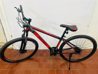Lote #126 - Bicicleta Expert Patriot rodado 29