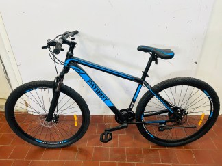 Lote #123 - Bicicleta Expert Patriot rodado 29