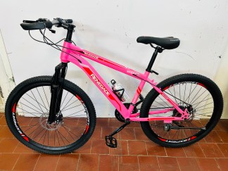 Lote #104 - Bicicleta Expert Renegade rodado 26
