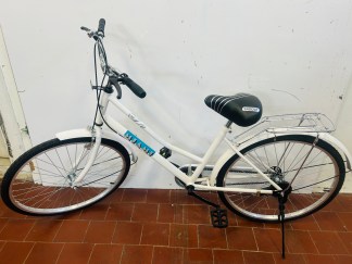 Lote #124 - Bicicleta Miami rodado 26 (para ajustar frenos)